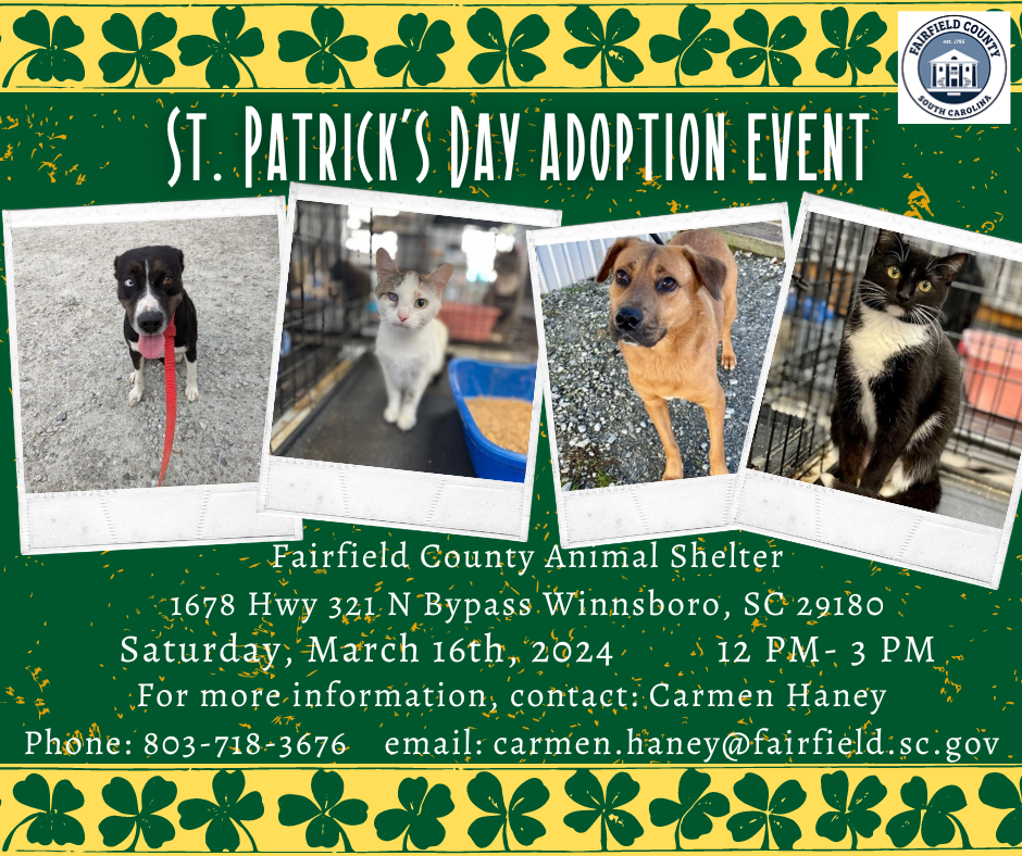 Image for Animal Shelter St. Patrick’s Day Adoption Event 